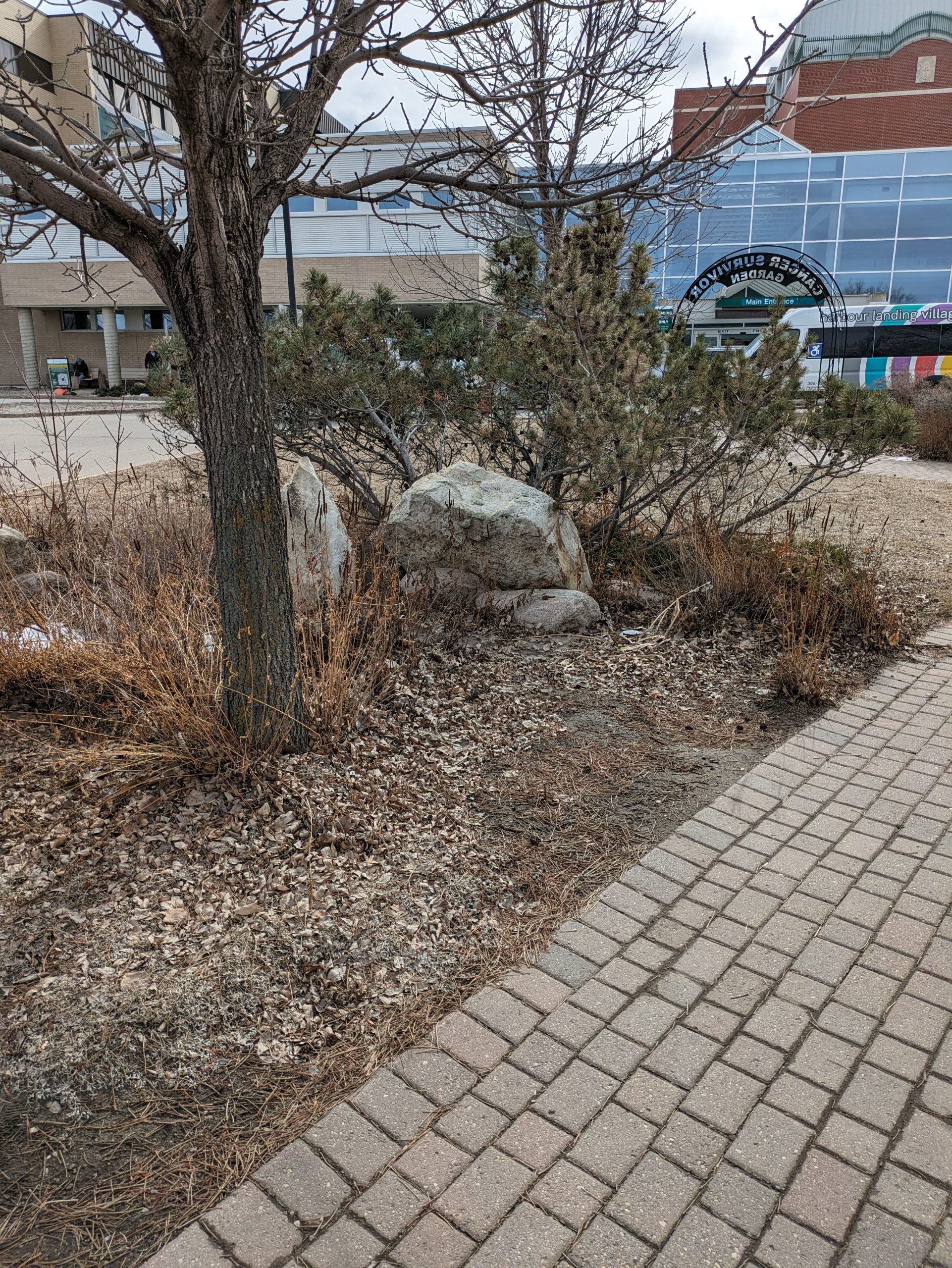 PXL_20240321_194830171