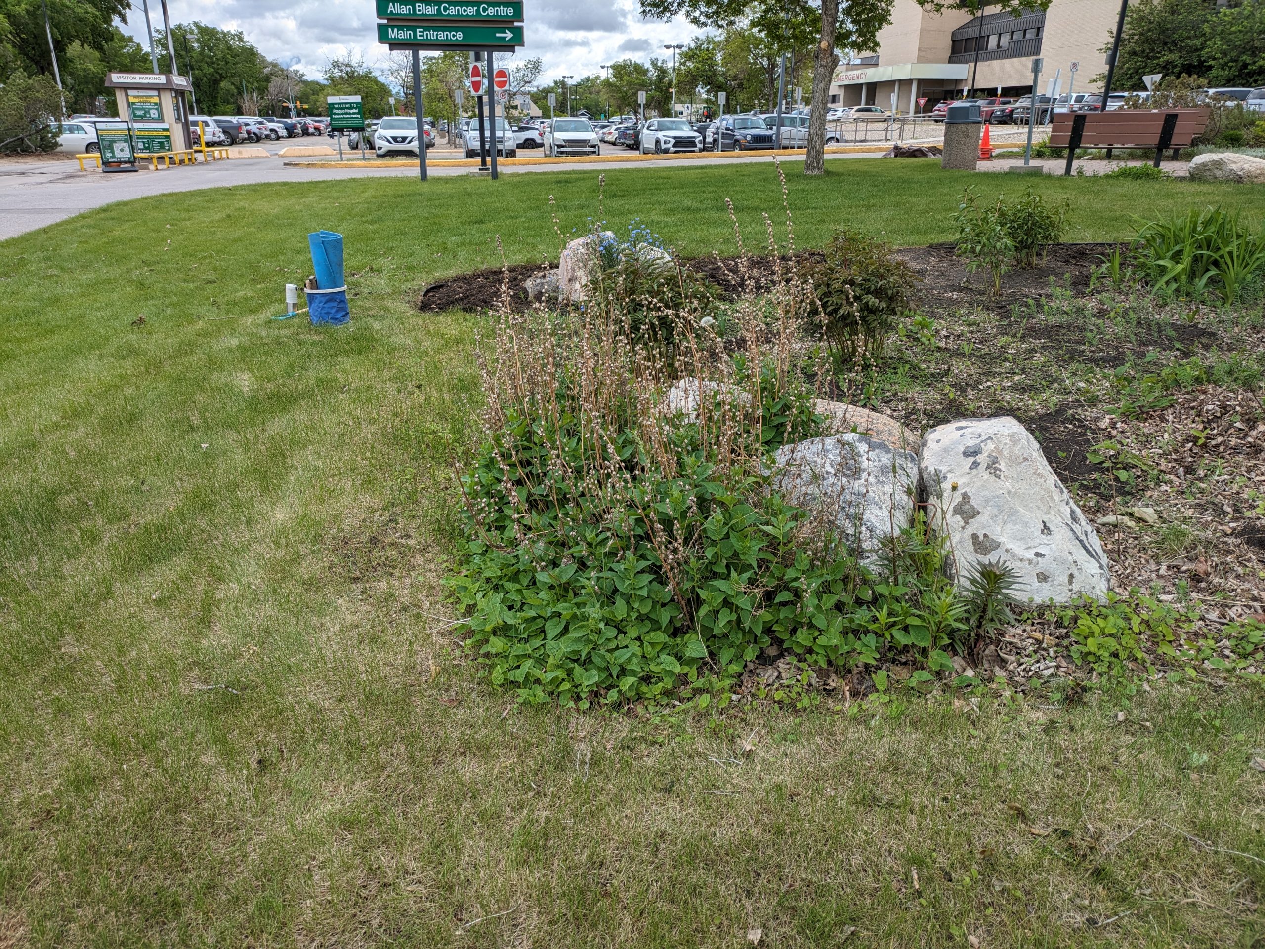 PXL_20240604_173348639